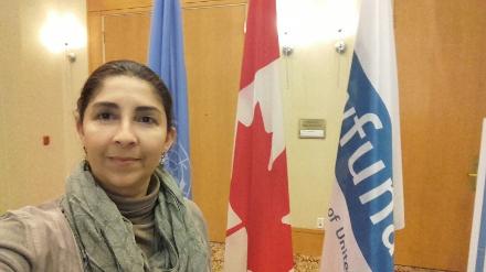 onu,naciones unidas,anuv,plataforma interamericana de derechos humanos democracia y desarrollo